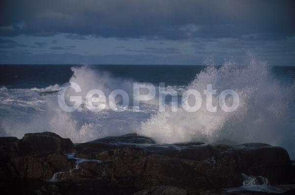 ��������� ����, �������� ����������, �����, ��������� �����, �����, ����, ������