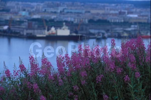 ��������� ����, �������� ����������