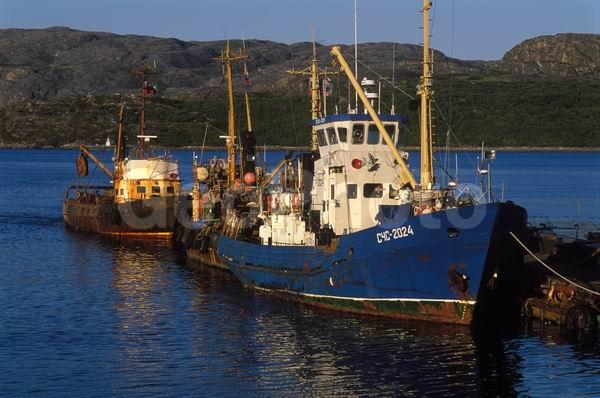 ��������� ����, �������� ����������