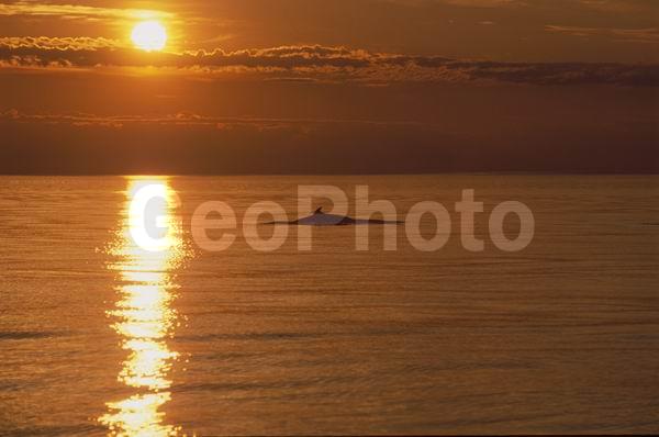 ��������� ����, �������� ����������, ����� ���������, �����, �����, ���, �� ������, �����������, ��������� ����, �����, ��� �����, �������������� ���������