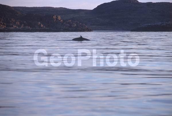 ��������� ����, �������� ����������, ����� ���������, �����, �����, ���, �� ������, �����������, ��������� ����, �����, ��� �����, �������������� ���������