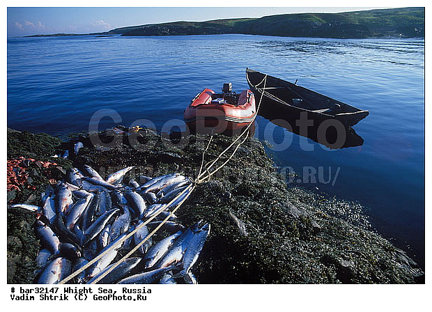 ����� ����, ��������, ������� ����, ������� �����, ����������� �����, ����� ������ ����, �������� ����, ������, ������� ����, �� ������, ���������� ��������, ����, �������, �����, �������, �����, ��������, ����, ����