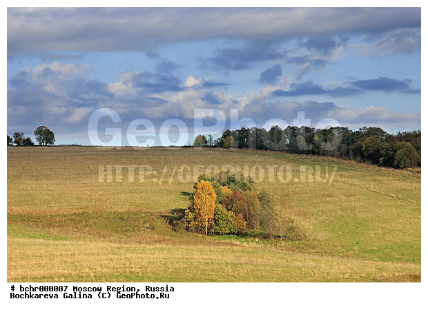 �������, ���������� �������, ��������-��������� �����, �����, ��������, ���, ����, ������, ������� ������, �����, ������, ���������, ����