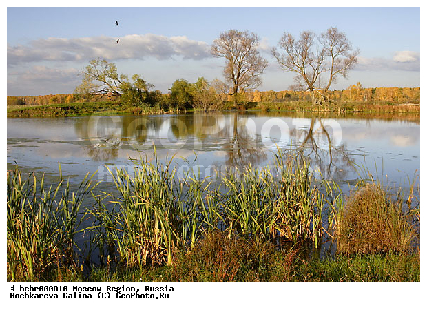 �����������, ���������� �������, ��������)��������� �����, ����, �������, ����, ������� ������, �����, ���������, ����, �����