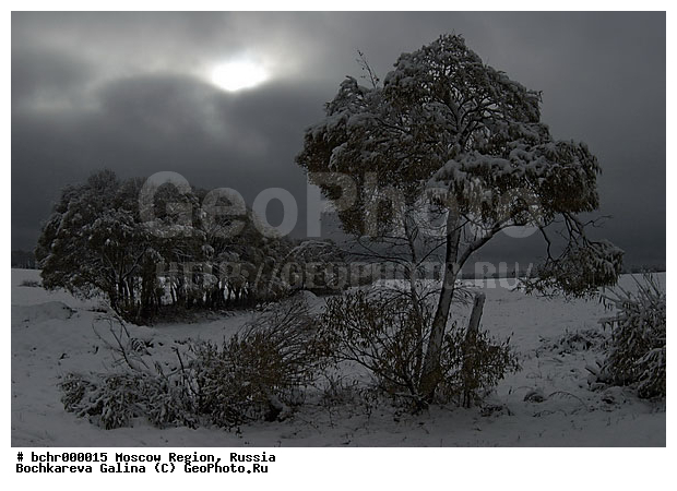 ����������, ���������� �������, ���������� �����, �������, ����������� �������, ����, ������ ������, ������, ����, ��������, ������ ������ ����