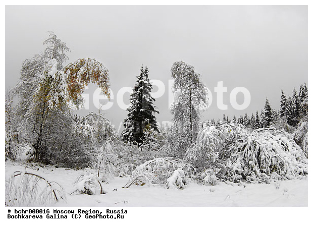 ���������� �������, ����� ��������, �������, ����������� �������, ����, ������ ������, ����������, ����