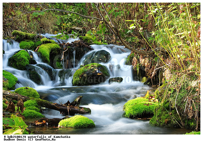 ��������, ������, �������, ������� ����, ������, �������, �����, �����