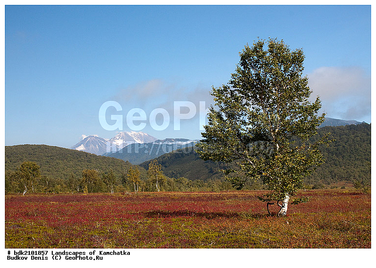 ��������, ������, ������� ����, ������, �������