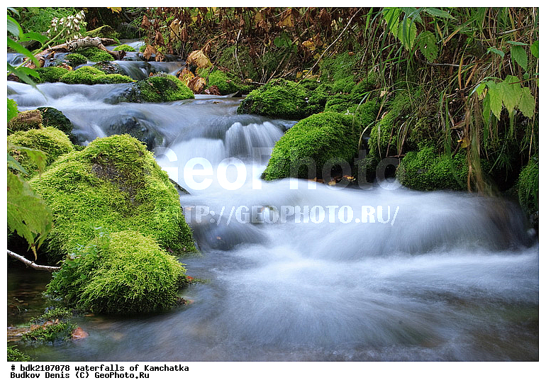 ��������, ������, �������, ������� ����, ������, �������, �����, �����