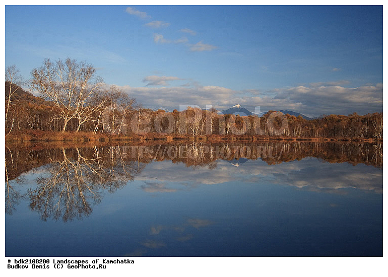 ��������, ������, ������� ����, ������, �������