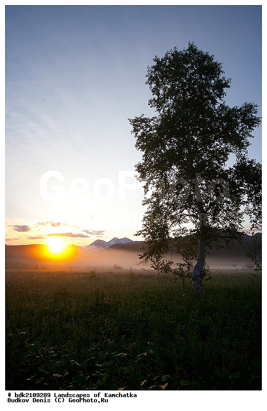 ��������, ������, ������� ����, ������, �������