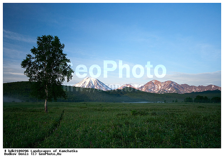 ��������, ������, ������� ����, ������, �������