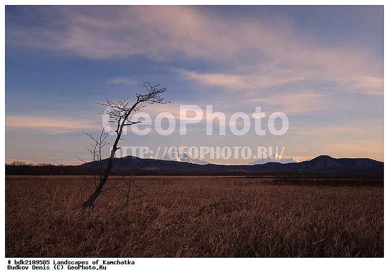 ��������, ������, ������� ����, ������, �������