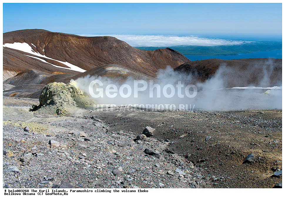 ���������� �������, ������ ���������,  ������, ���������,  �����, ��������, ������, ���������, ������, ��������, ������, ���������, ������, ������� ������, ������