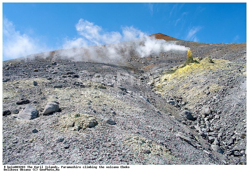 ���������� �������, ������ ���������,  ������, ���������,  �����, ��������, ������, ���������, ������, ��������, ������, ���������, ������, ������� ������, ������