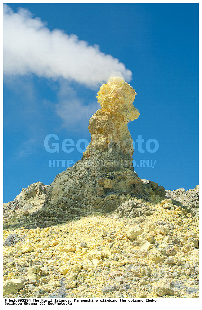 ���������� �������, ������ ���������,  ������, ���������,  �����, ��������, ������, ���������, ������, ������� ������, ������