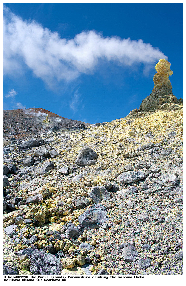 ���������� �������, ������ ���������,  ������, ���������,  �����, ��������, ������, ���������, ������, ��������, ������, ���������, ������, ������� ������, ������