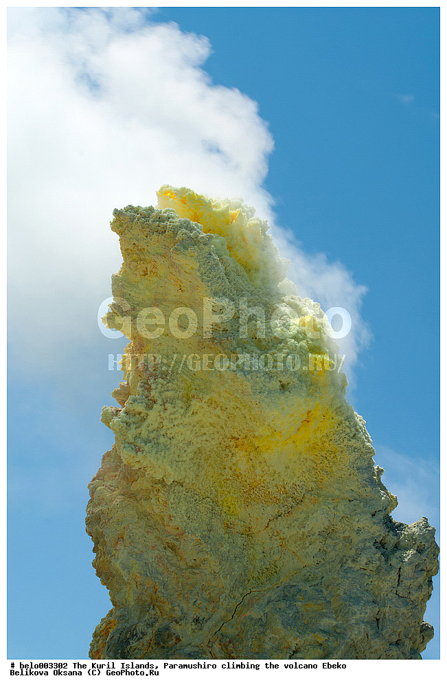 ���������� �������, ������ ���������,  ������, ���������,  �����, ��������, ������, ���������, ������, ������� ������, ������