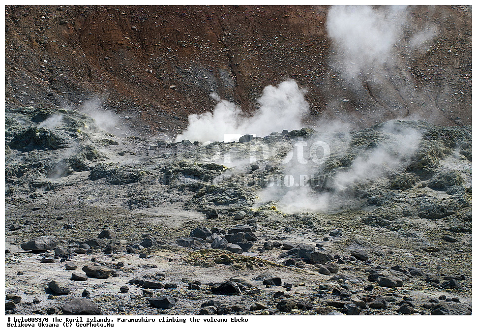 ���������� �������, ������ ���������,  ������, ���������,  �����, ��������, ������, ���������, ������, ������� ������, ������