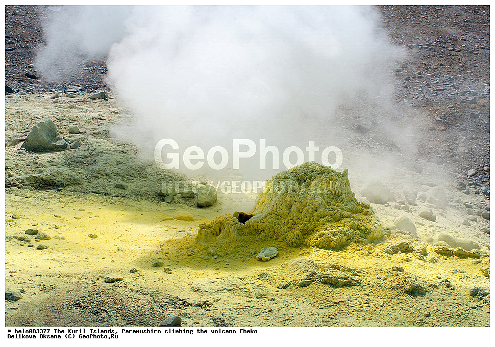 ���������� �������, ������ ���������,  ������, ���������,  �����, ��������, ������, ���������, ������, ������� ������, ������