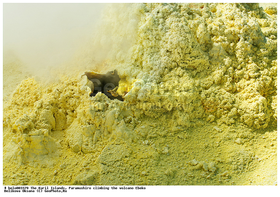 ���������� �������, ������ ���������,  ������, ���������,  �����, ��������, ������, ���������, ������, ��������, ������, ���������, ������, ������� ������, ������