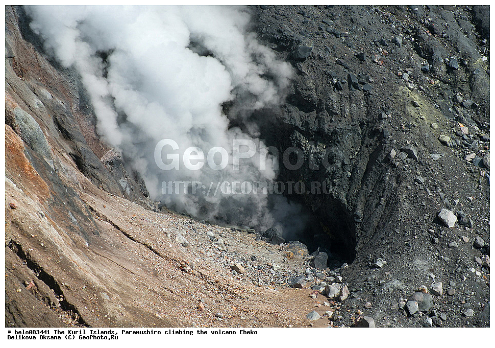 ���������� �������, ������ ���������,  ������, ���������,  �����, ��������, ������, ���������, ������, ��������, ������, ���������, ������, ������� ������, ������