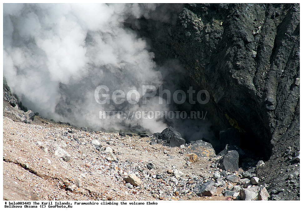 ���������� �������, ������ ���������,  ������, ���������,  �����, ��������, ������, ���������, ������, ��������, ������, ���������, ������, ������� ������, ������