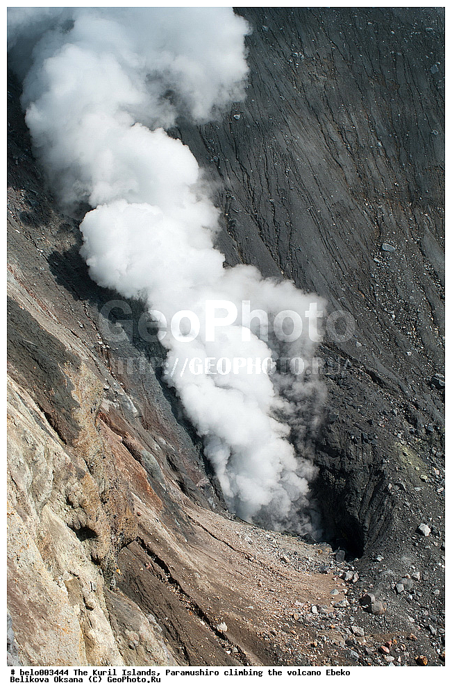 ���������� �������, ������ ���������,  ������, ���������,  �����, ��������, ������, ���������, ������, ��������, ������, ���������, ������, ������� ������, ������