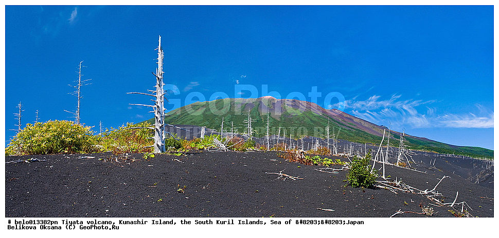 ������ ����, ������ �������, ����-���������� �������, �������� ����, ������