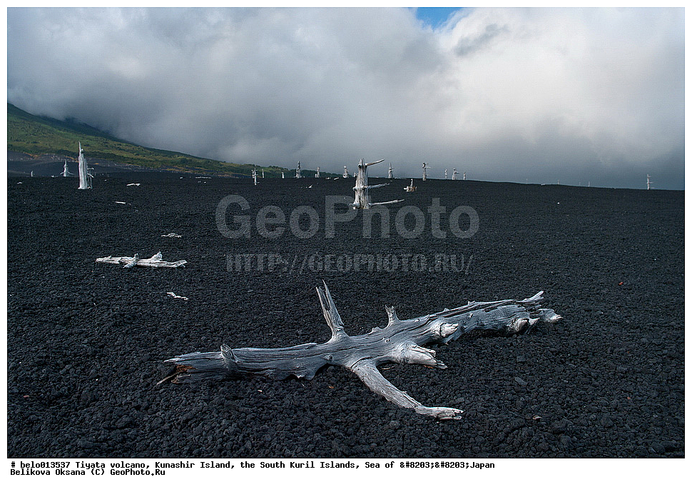 ������ ����, ������ �������, ����-���������� �������, �������� ����, ���, ����������� ������,����������� ����������, , ������