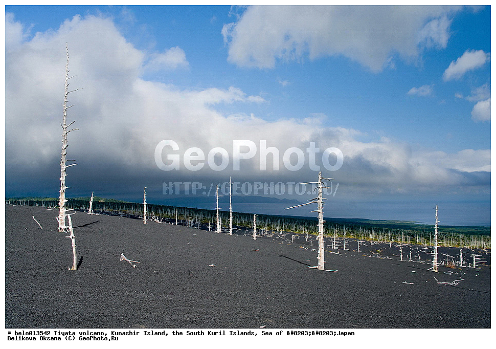 ������ ����, ������ �������, ����-���������� �������, �������� ����, ���, ����������� ������,����������� ����������, , ������, ������