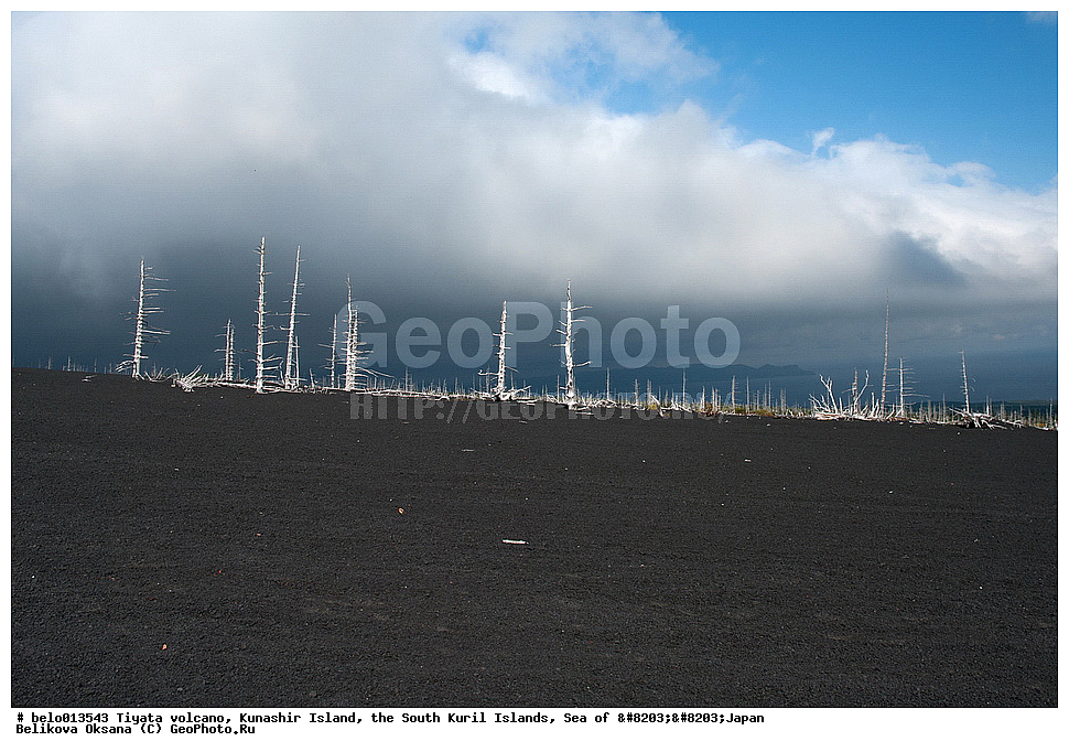 ������ ����, ������ �������, ����-���������� �������, �������� ����, ���, ����������� ������,����������� ����������, , ������, ������