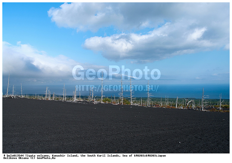 ������ ����, ������ �������, ����-���������� �������, �������� ����, ���, ����������� ������,����������� ����������, , ������, ������