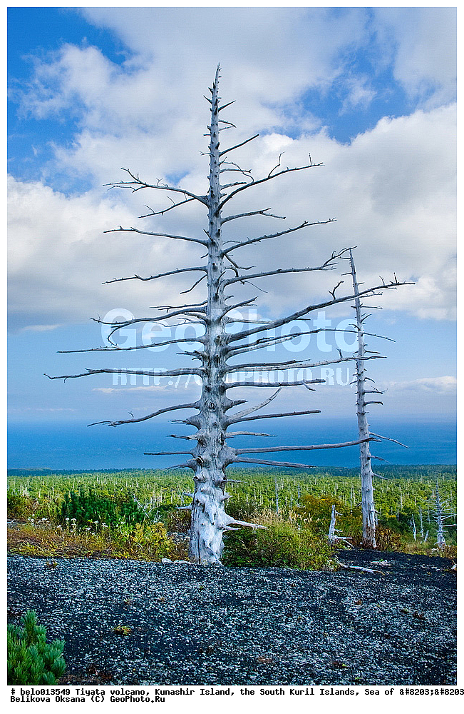 ������ ����, ������ �������, ����-���������� �������, �������� ����, ������