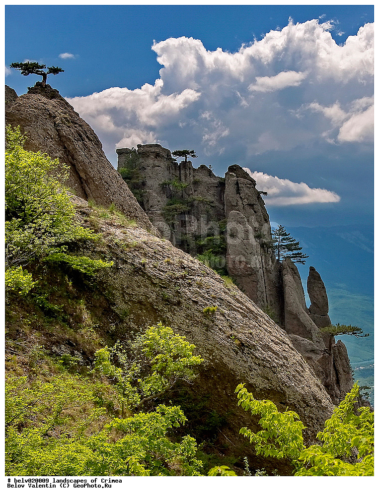 ������, ����