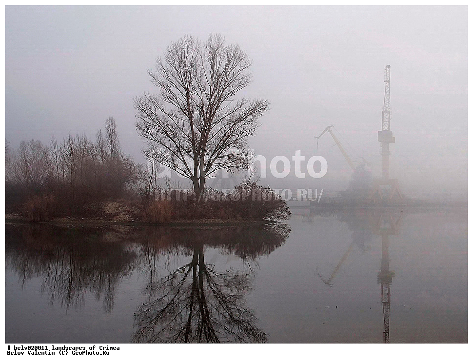 ������, ����