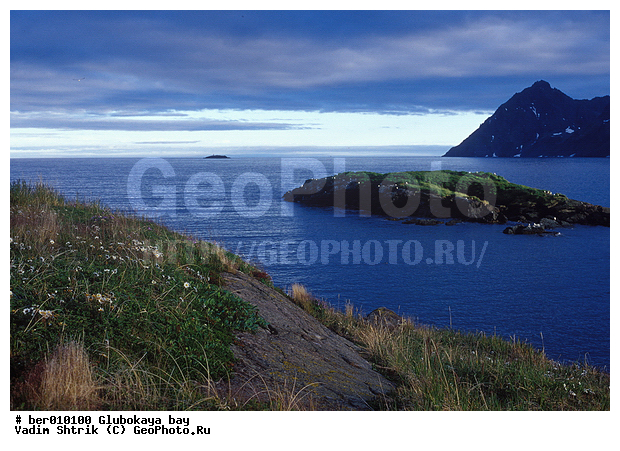 ��������� ����, �������, ����� ��������, ����, ������� ������