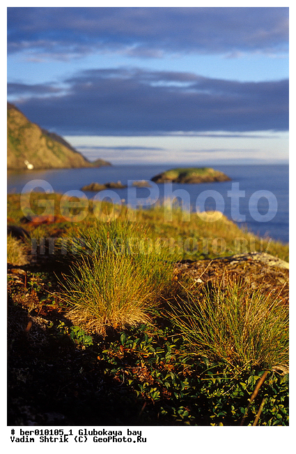 ��������� ����, �������, ����� ��������, ����, ������� ������