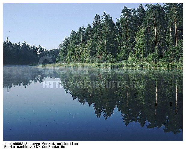 9�12, ������� ������