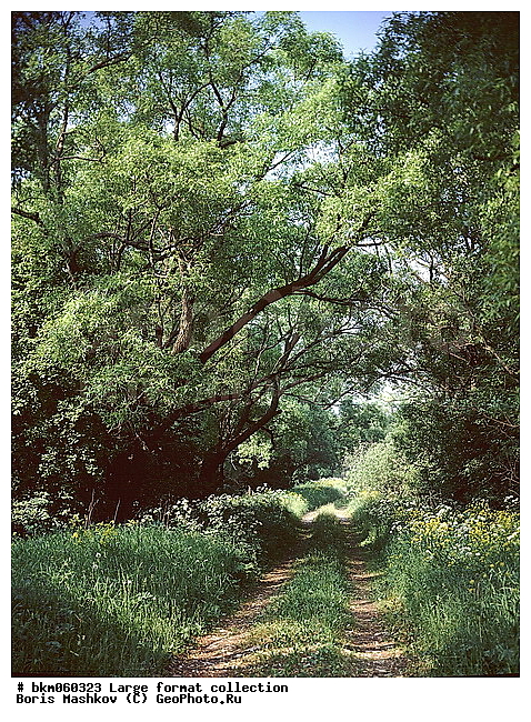 9�12, ������� ������