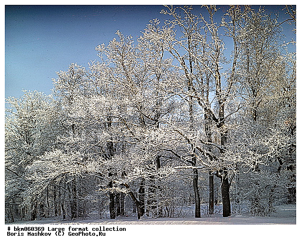 9�12, ������� ������