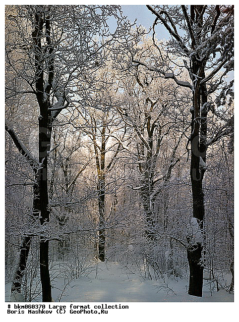 9�12, ������� ������