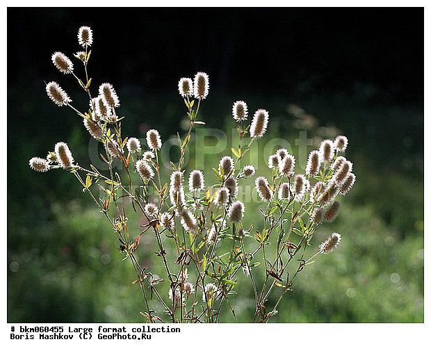 9�12, ������� ������