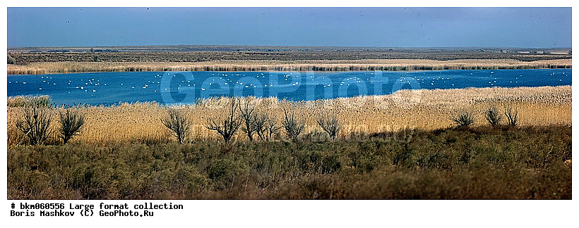 9�12, ������� ������