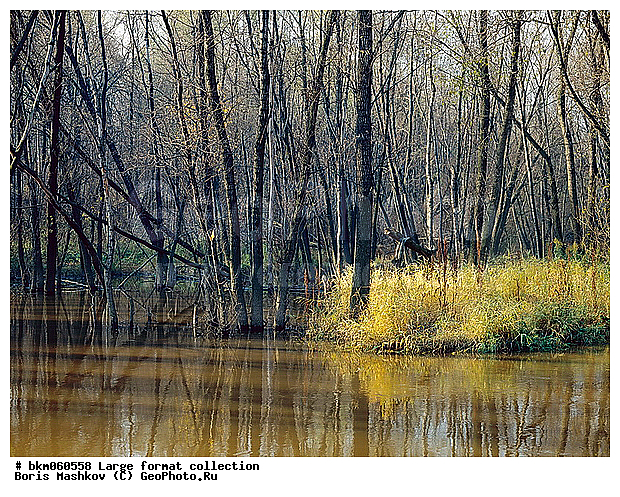 9�12, ������� ������