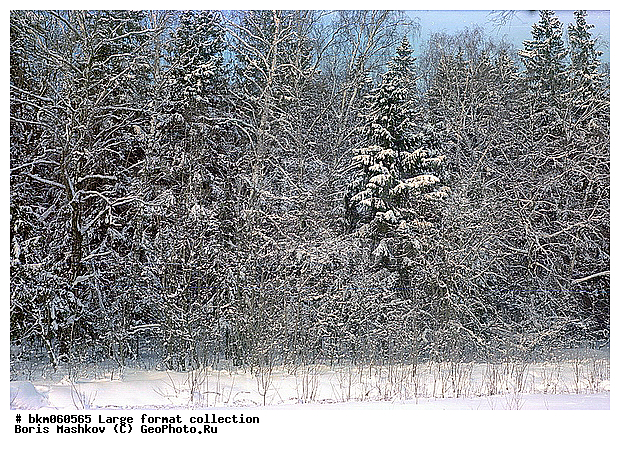 9�12, ������� ������