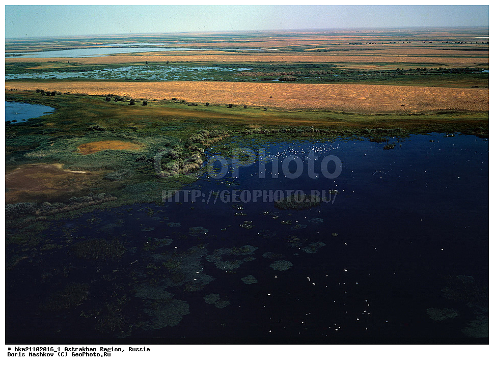 ������������ �������, ������������ ����������, ������, �����, ����������