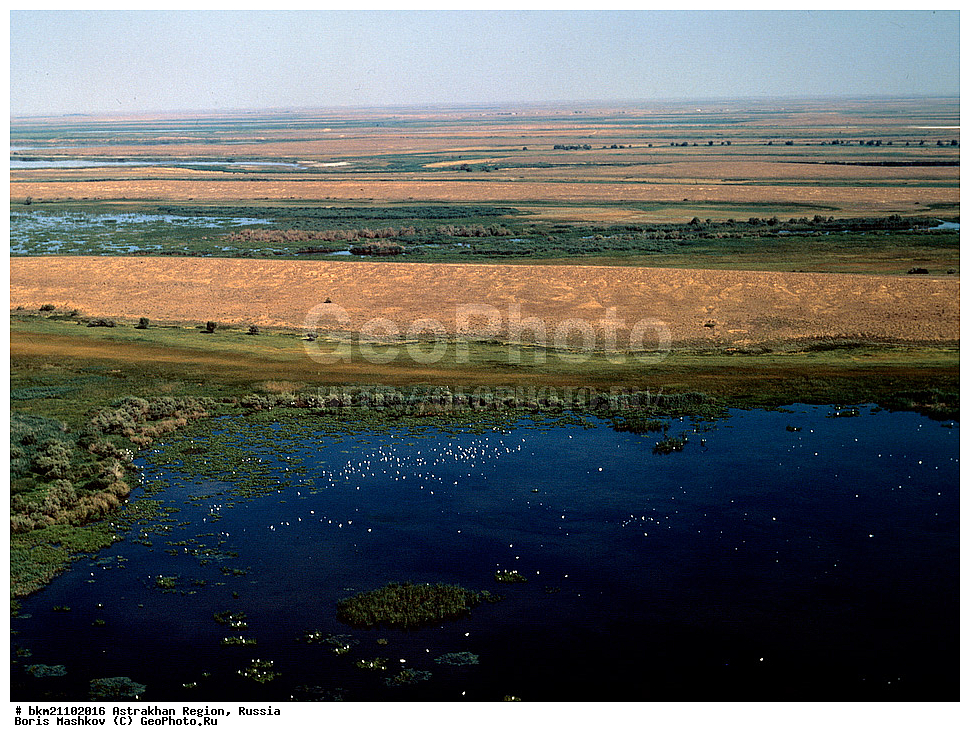 ������������ �������, ������������ ����������, ������, �����, ����������