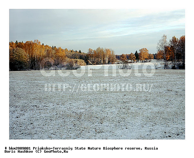 ��������-��������� ���������� ����������, ����������, ������