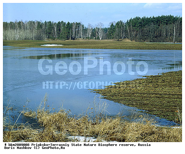 ��������-��������� ���������� ����������, ����������, ������